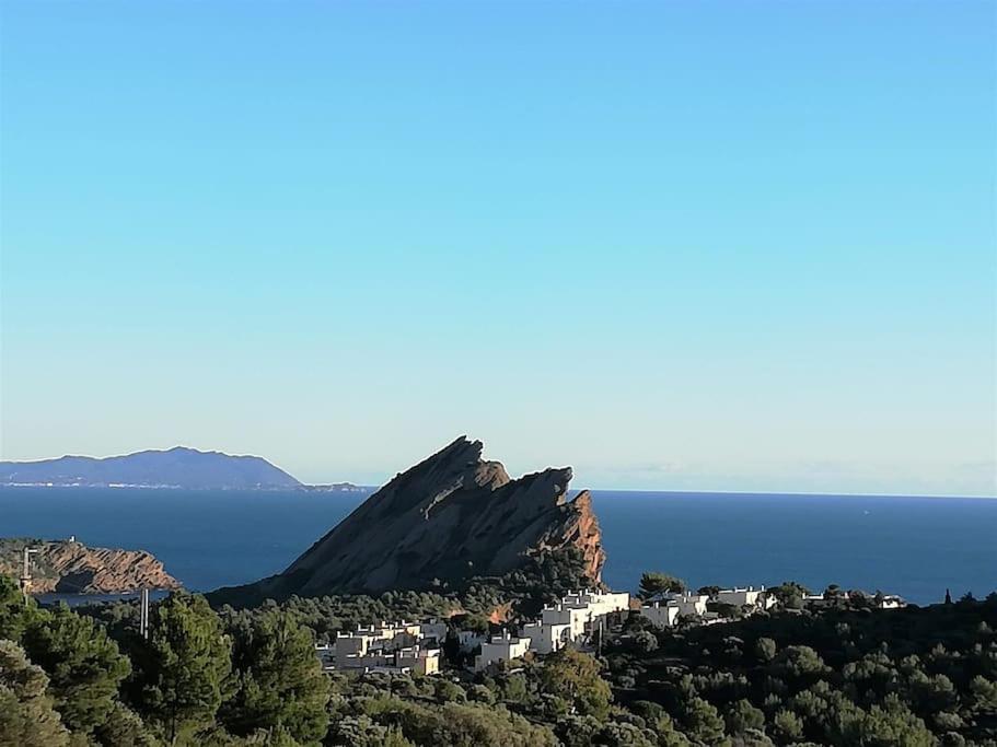 Studio 28M2 Climatise,Wifi, Proche Des Calanques,Plages ラシオタ エクステリア 写真