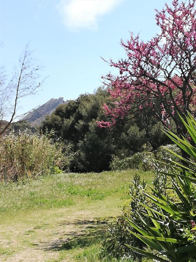 Studio 28M2 Climatise,Wifi, Proche Des Calanques,Plages ラシオタ エクステリア 写真