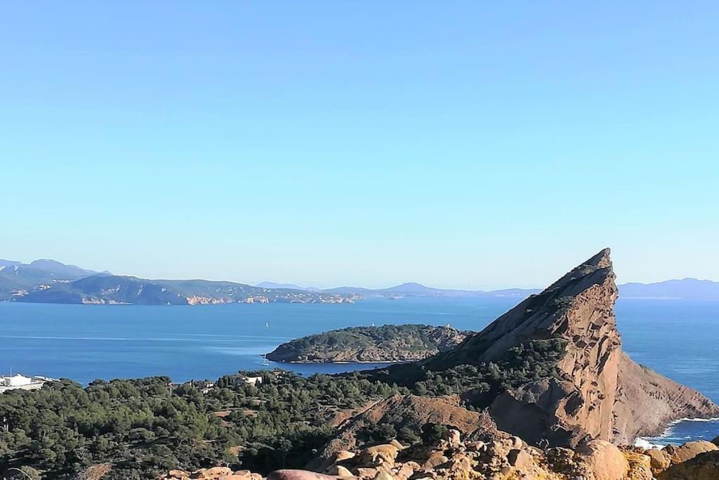 Studio 28M2 Climatise,Wifi, Proche Des Calanques,Plages ラシオタ エクステリア 写真